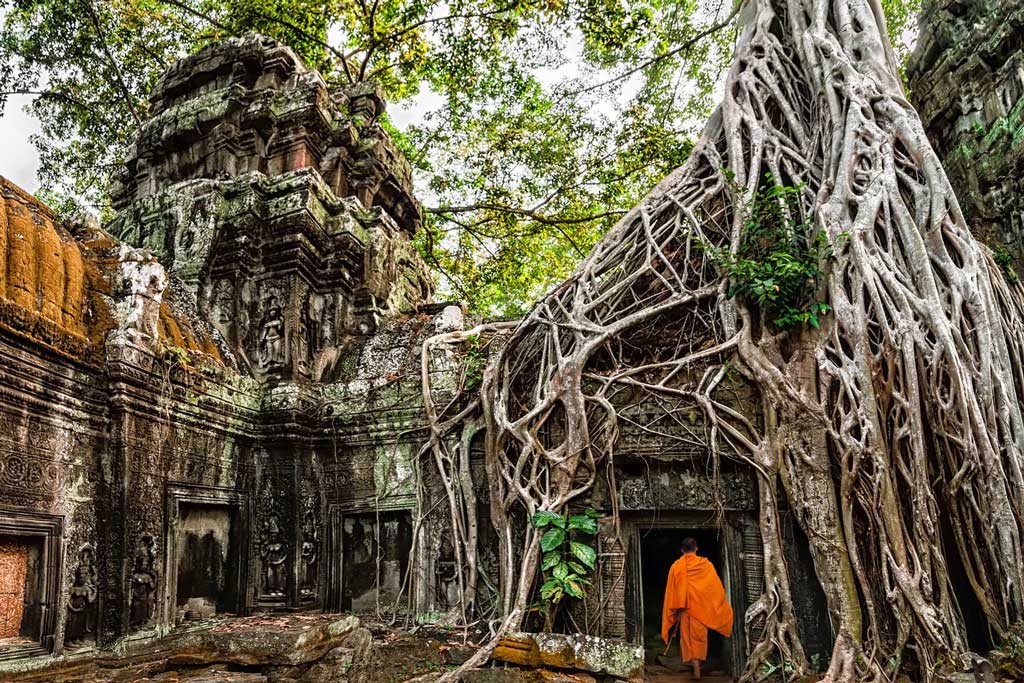 Angkor Temple Picture