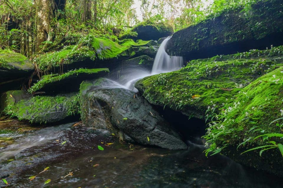 bolaven-plateau