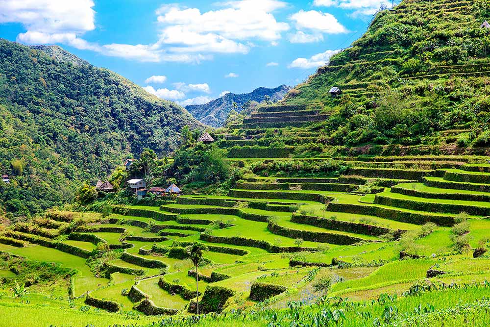 Philippines Rice Terraces
