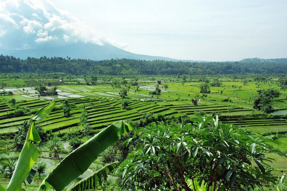 Title indo-agung