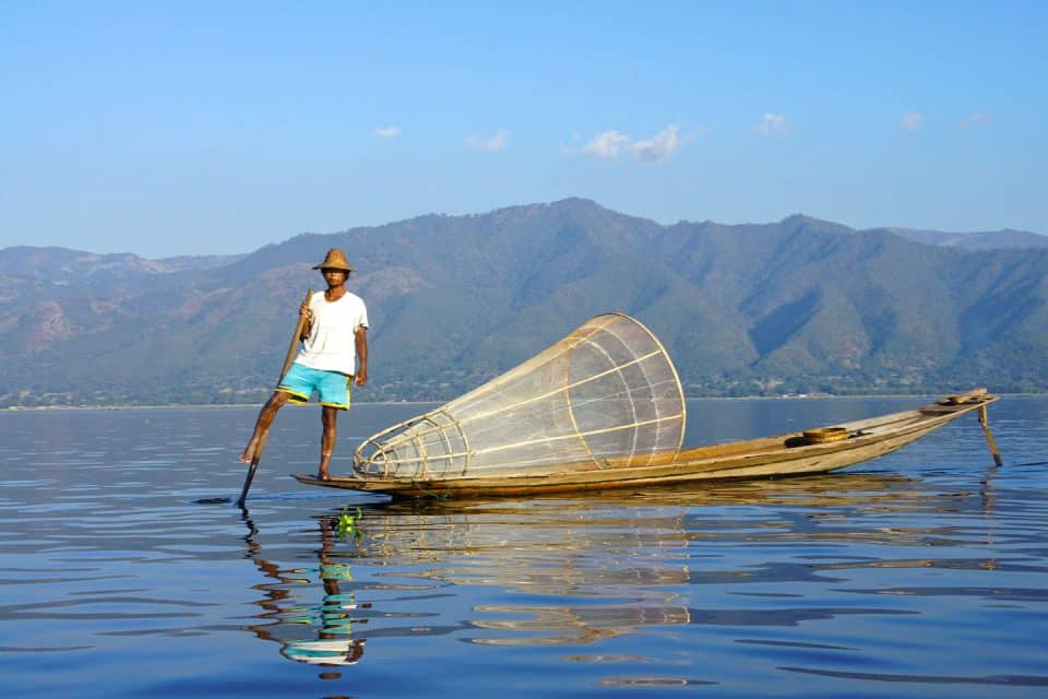 inle-lake-fish