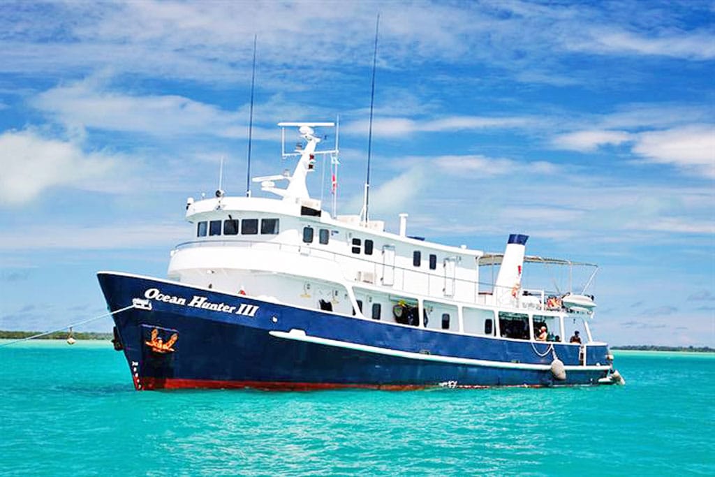Ocean-hunter-liveaboard-palau