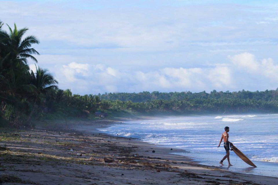 bicol-lead