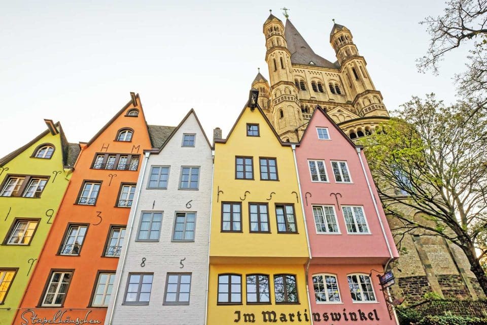 cologne lead