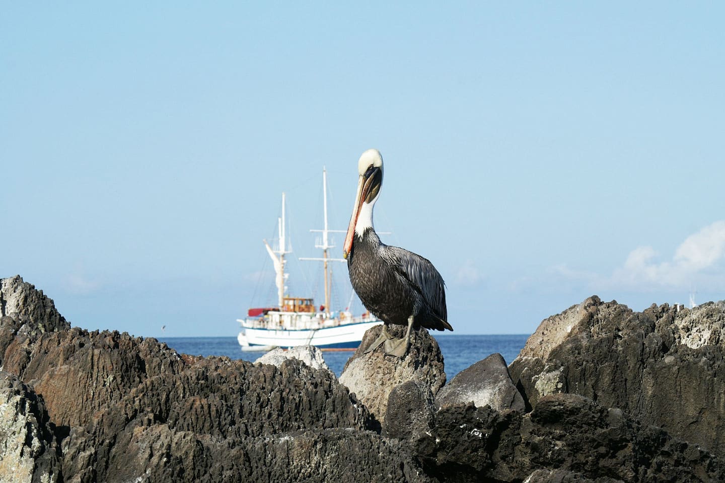 galapagos liveaboard