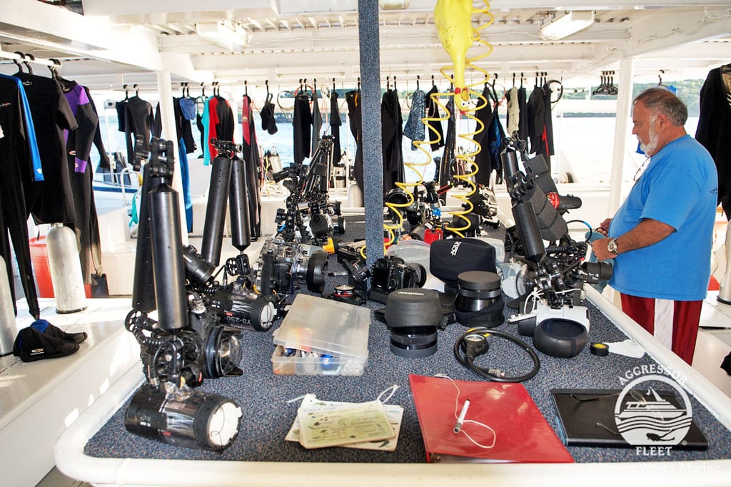 palau-aggressor-dive