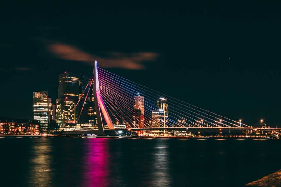 rotterdam city lead