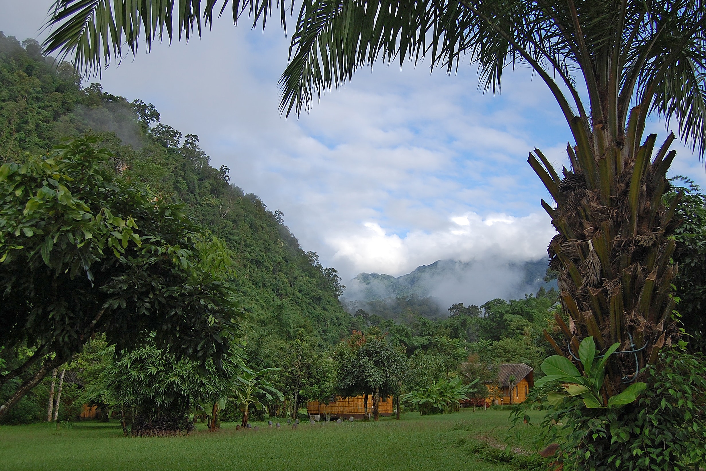 chiang dao nest