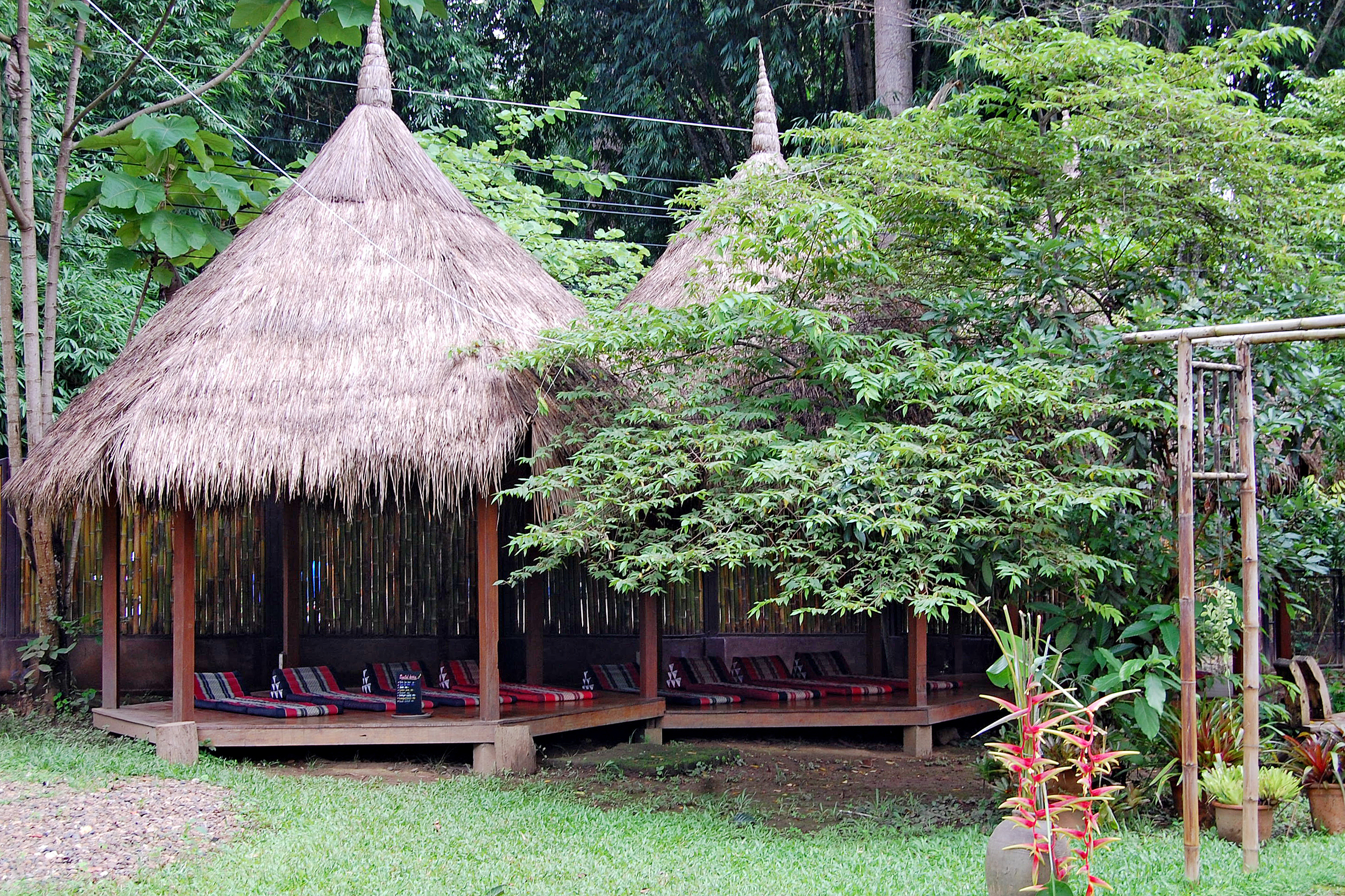 the nest chiang dao hammock
