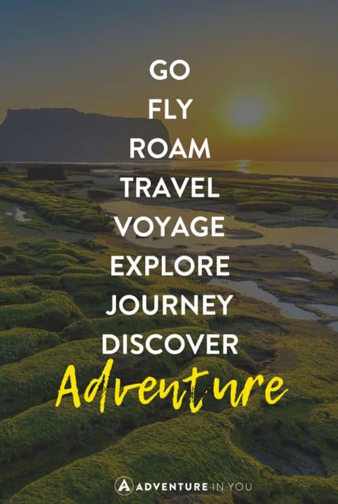 alive travel quotes