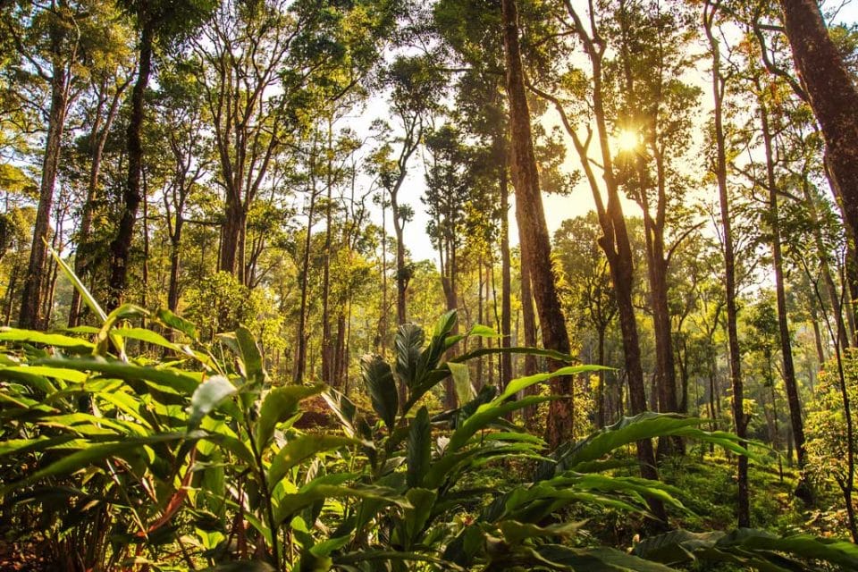 trekking cambodia