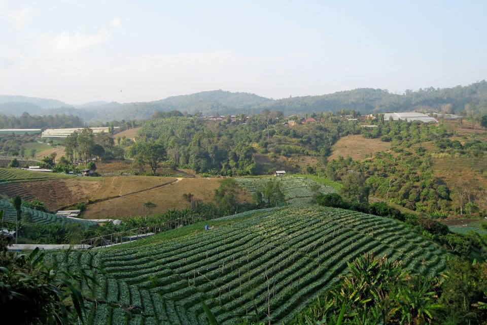 Views of fields and mountains