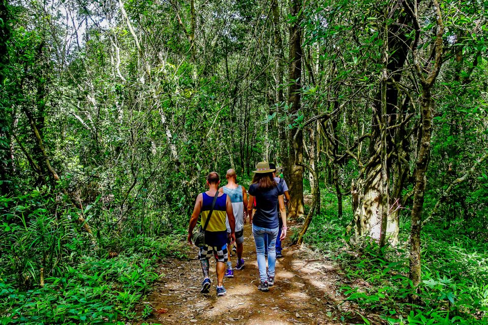 A group of people trekking through the forest
