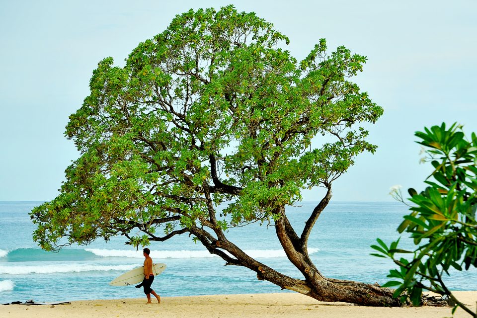 A man walking on the beach with a surfboard