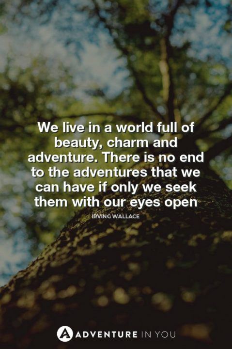 Adventure Quotes: 100 of the BEST Quotes +FREE QUOTES BOOK
