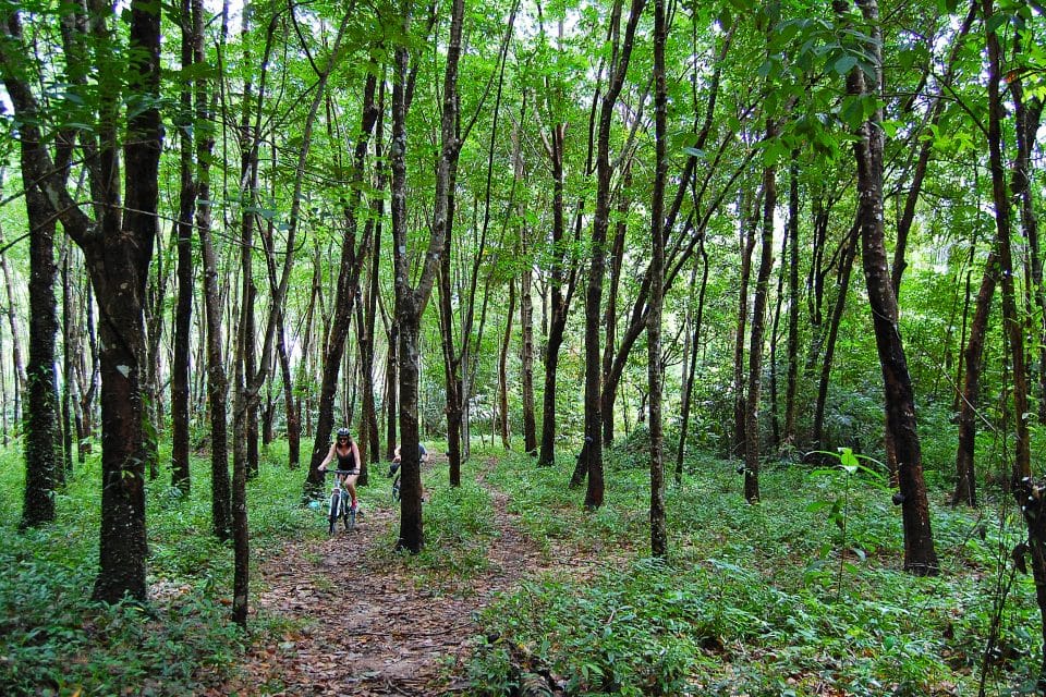 A couple cycling through the forest