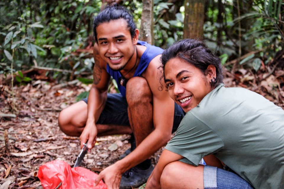 Jungle Trekking with Sumatra  Paradise in Bukit Lawang Review