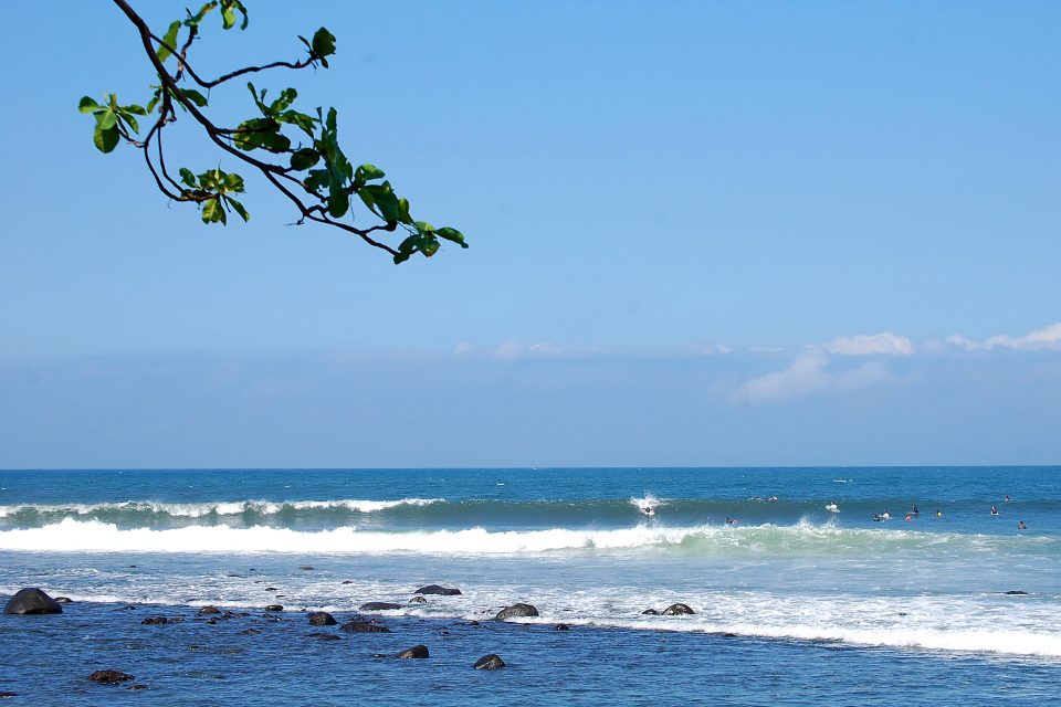 Surfers in the sea