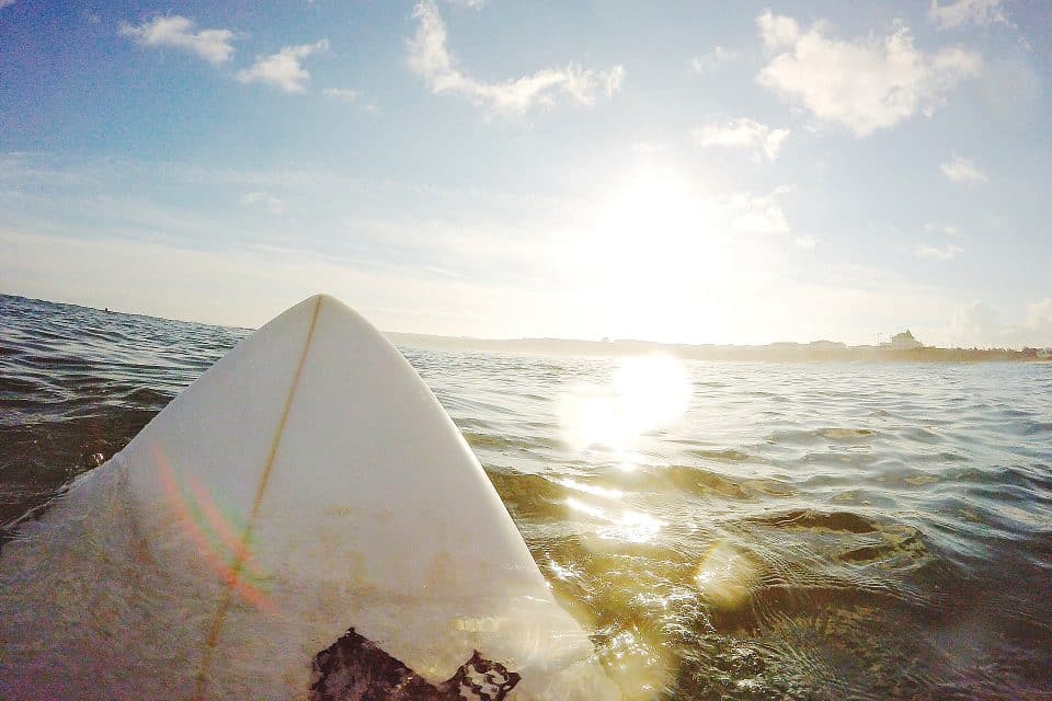 Point of view shot of the tip of a surf board in the water