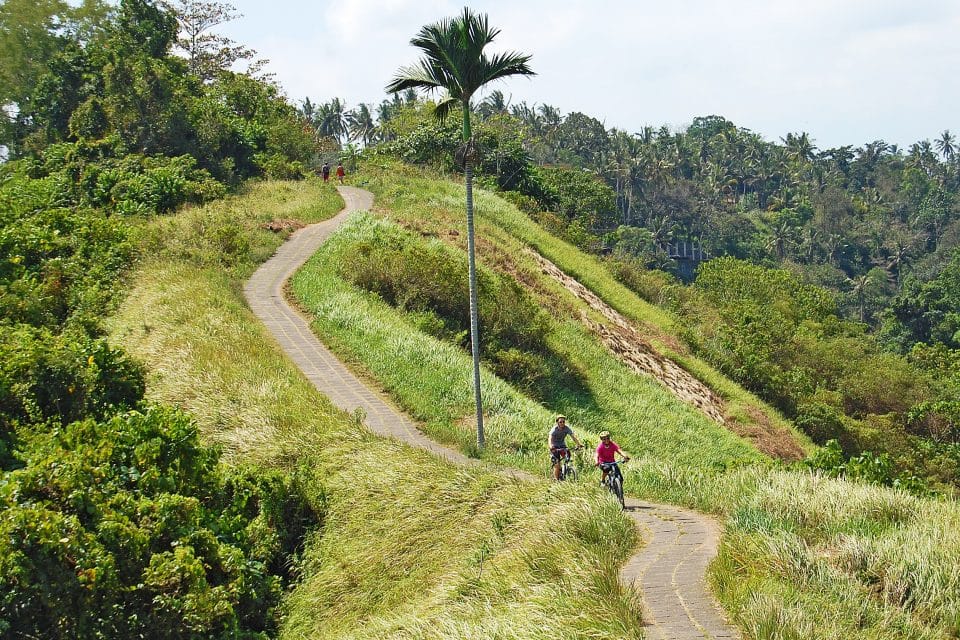A couple biking up a mountain path
