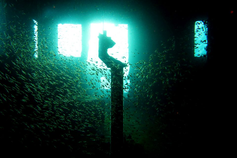 ww2-shipwreck-diving-coron5