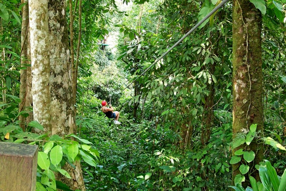 Man ziplining at Flight of the Gibbon
