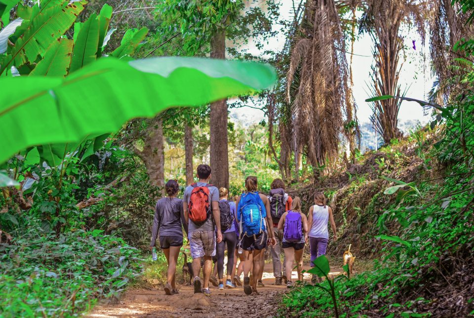 trekking group thailand