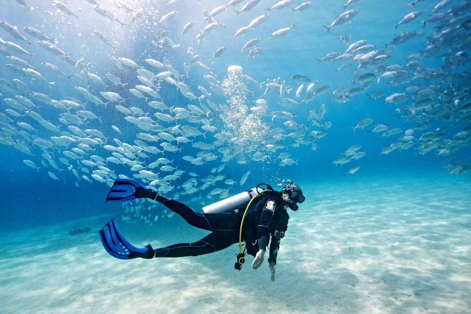 A diver with a school of fish