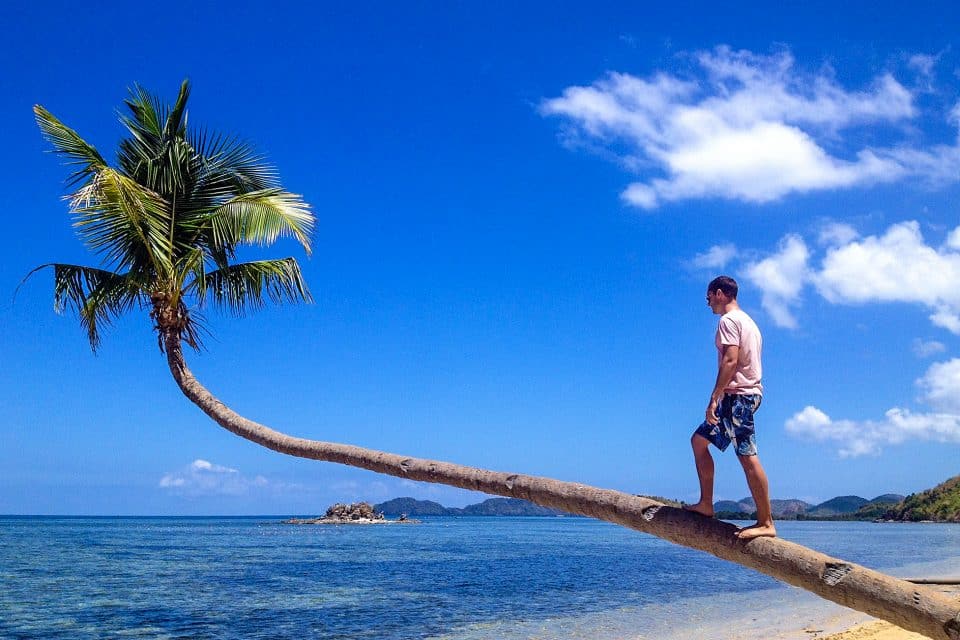 A man standing on a bent palm tree