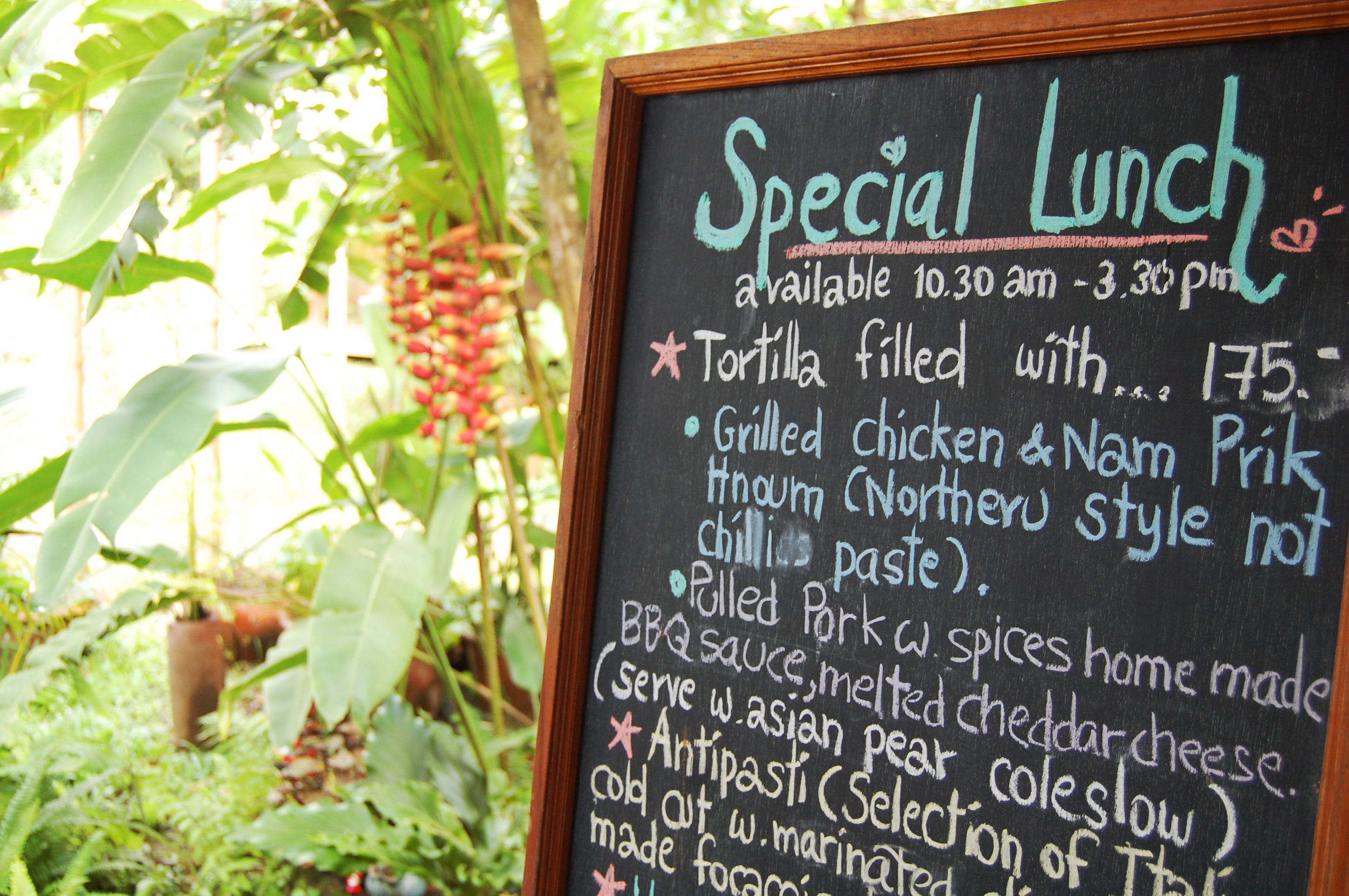 The Nest Thailand Menu Review