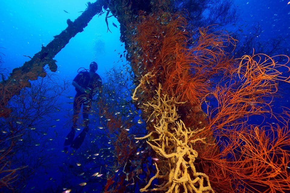 Diving a shipwreck in Palawan Philippines