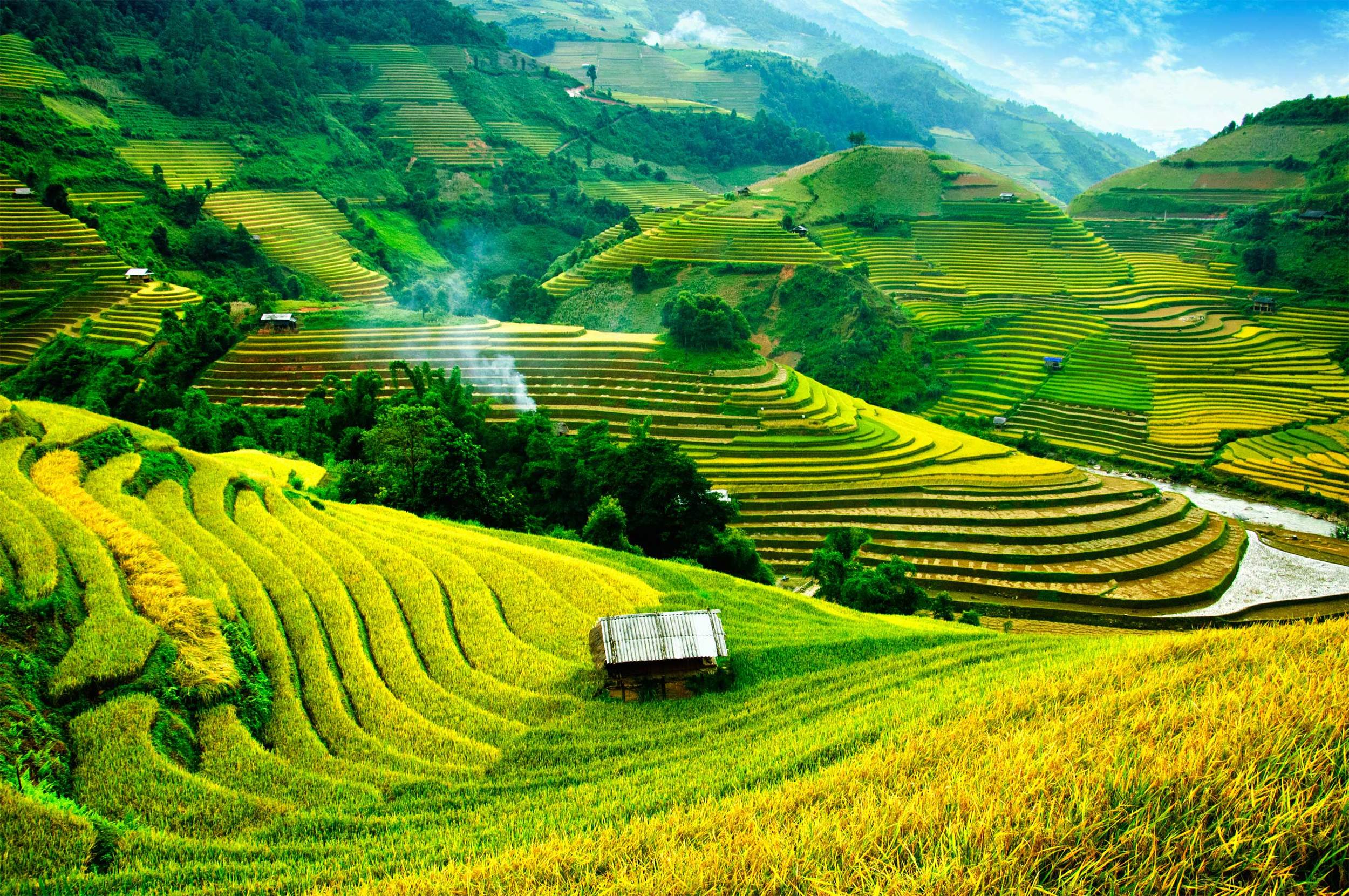 travel one vietnam