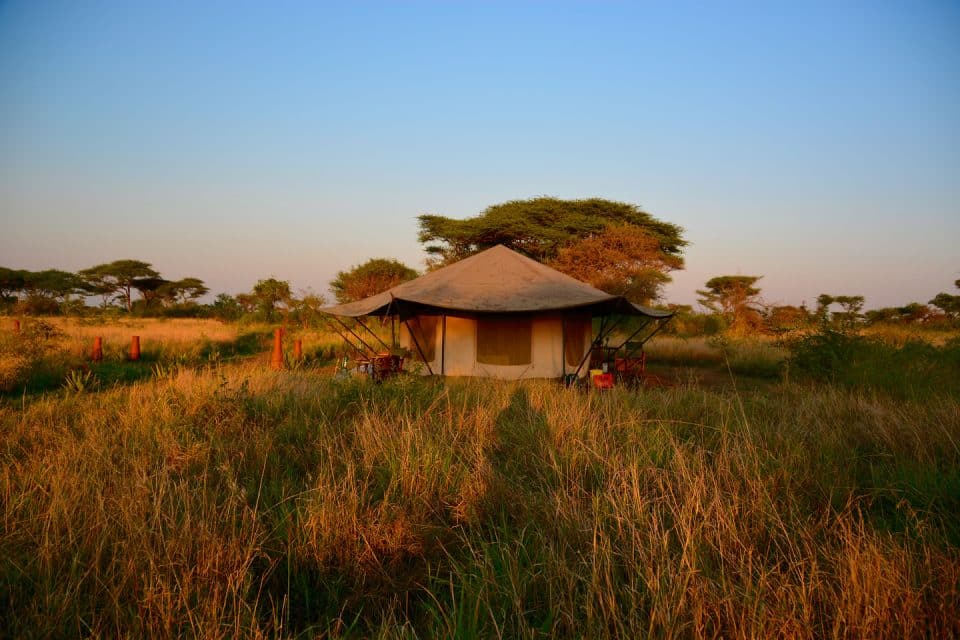 A tent in a national park
