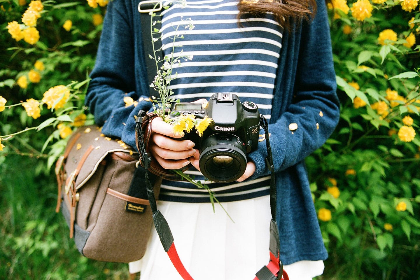 perfect-camera-dslr