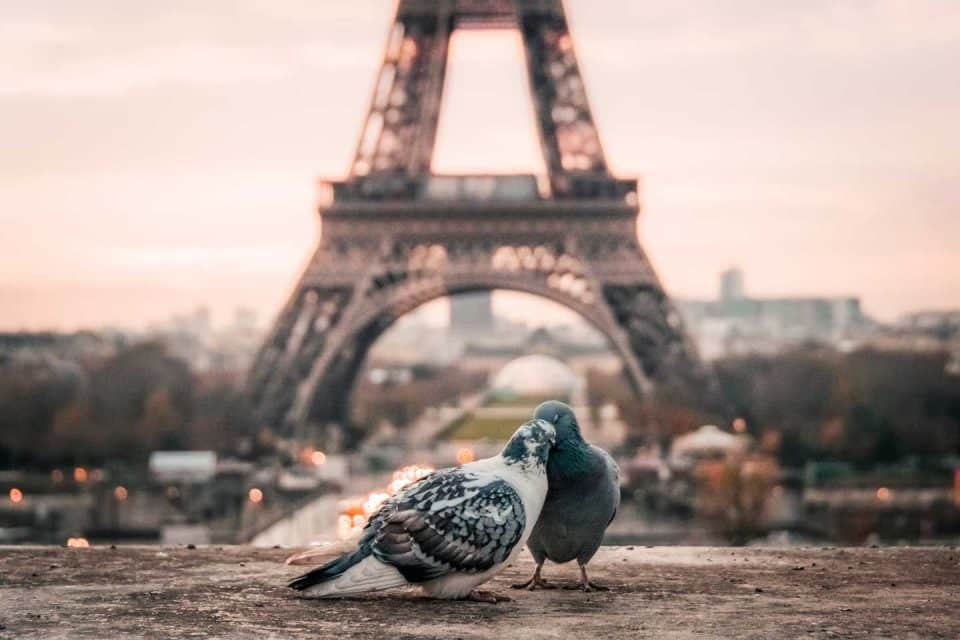 where to stay in paris