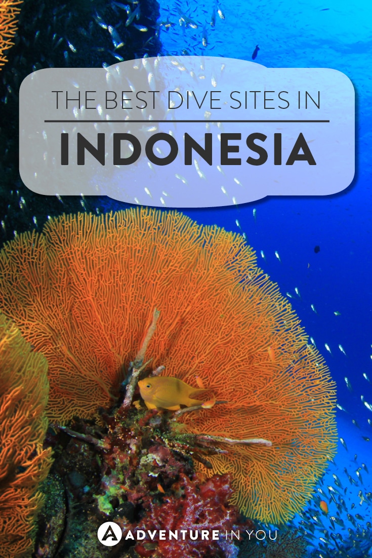 Best Scuba Diving in Indonesia: Dive Sites You Can't Miss [UPDATED]