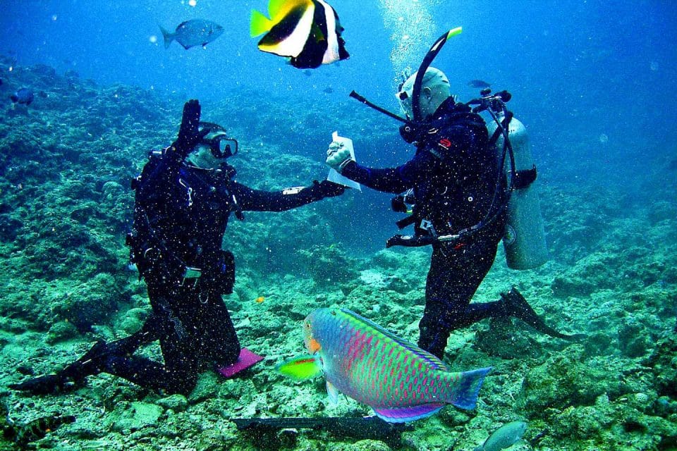 dive-instructor