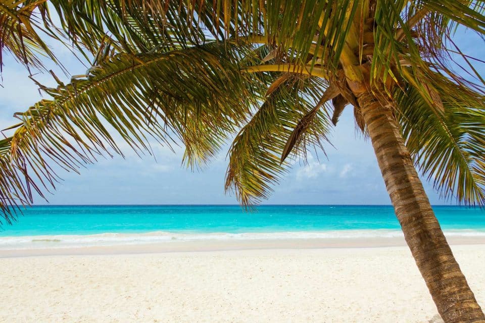 vietnam-star-beach