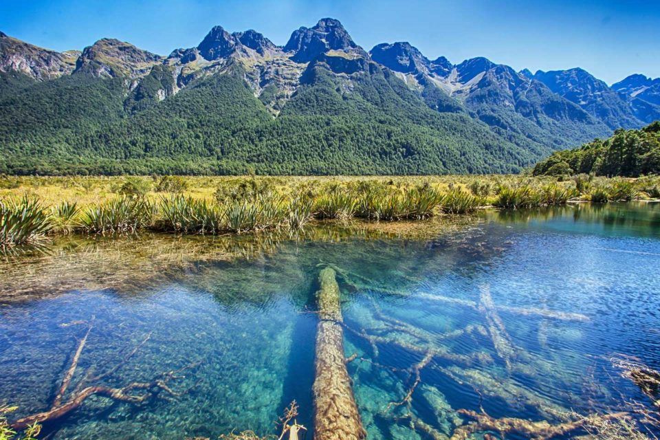 milford track lake