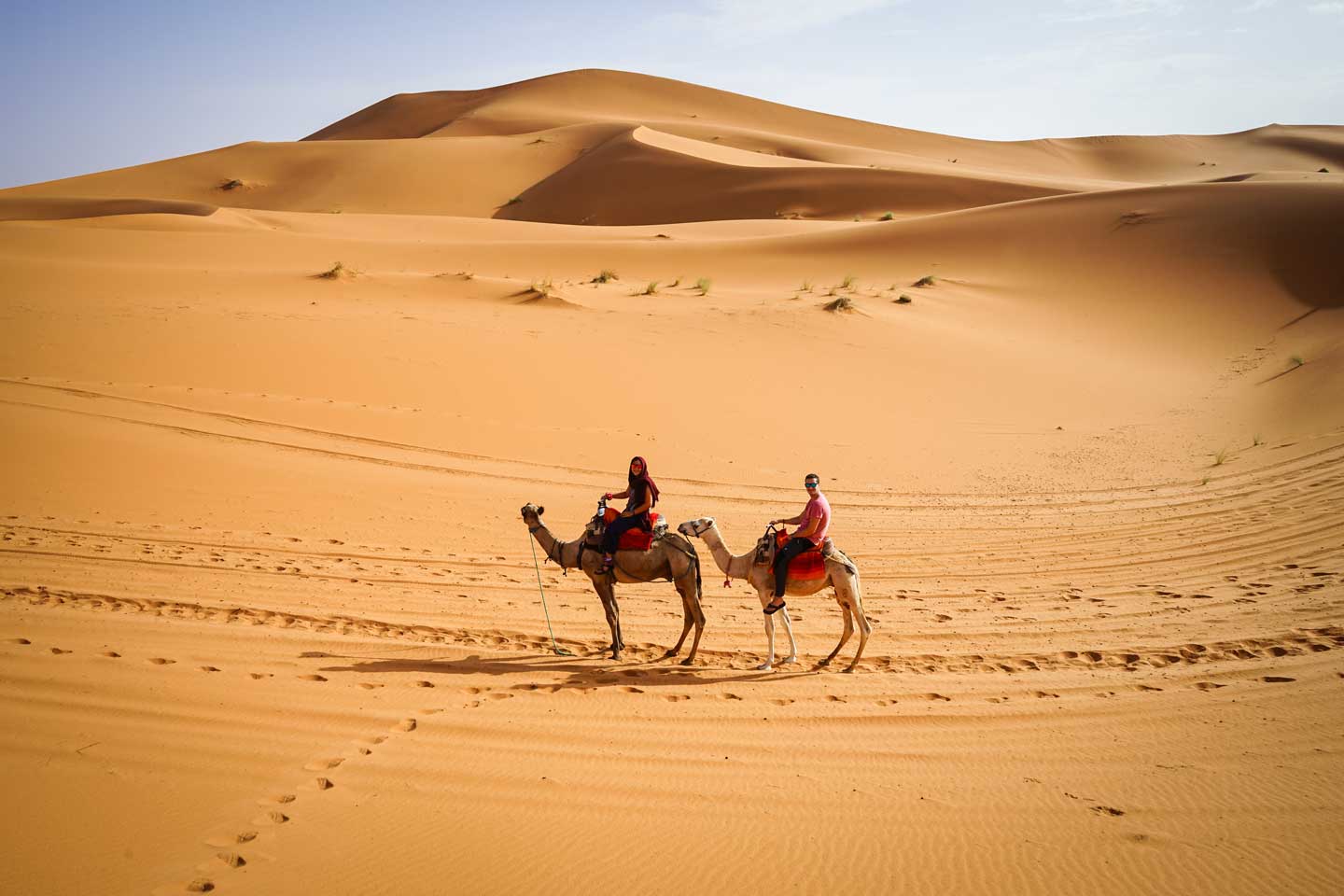 camels-morocco