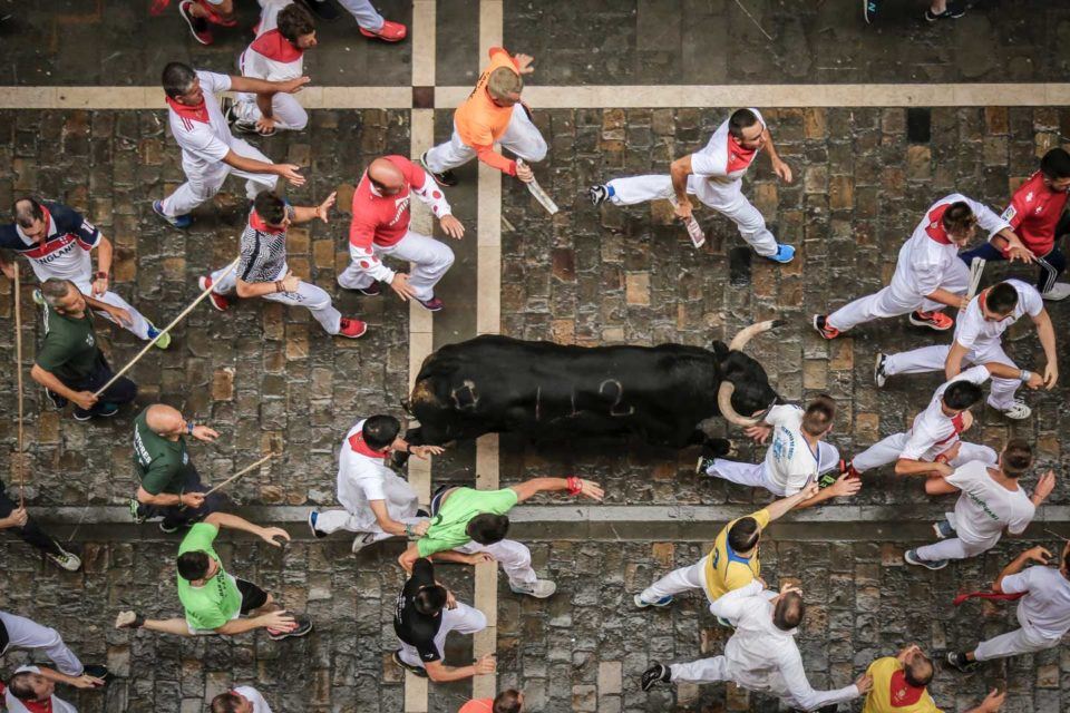 san-fermin-bulls
