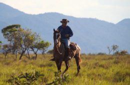 saddle ranch guyana