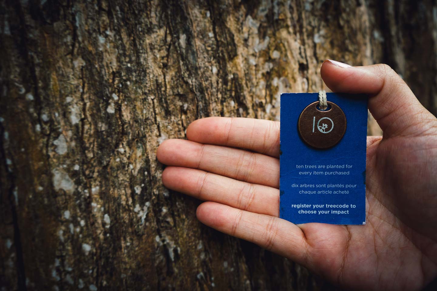 ten-tree-brand