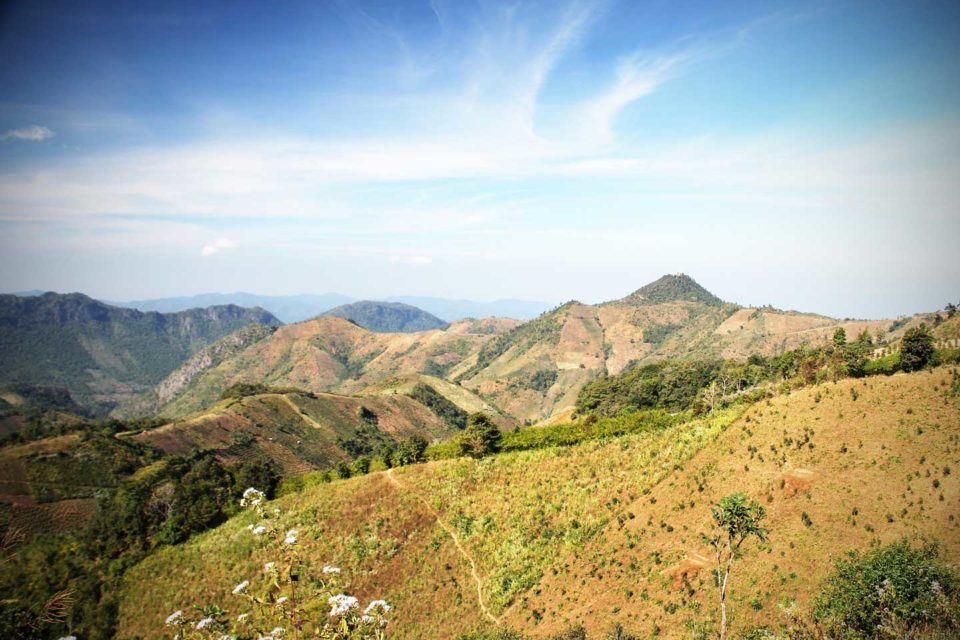 kalaw