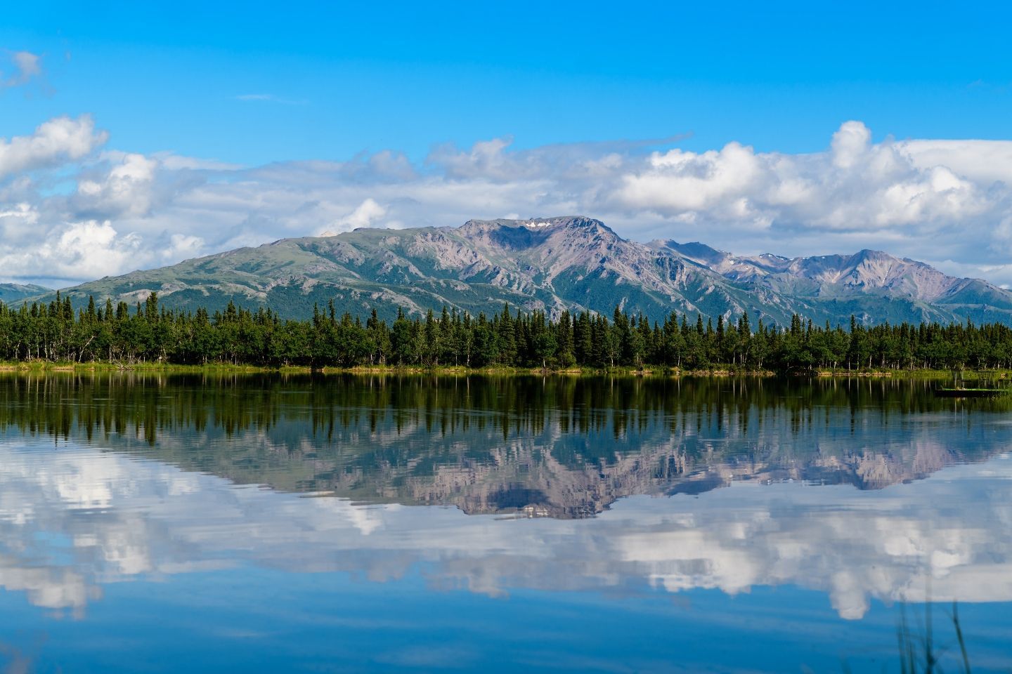 alaska-denali-national-park