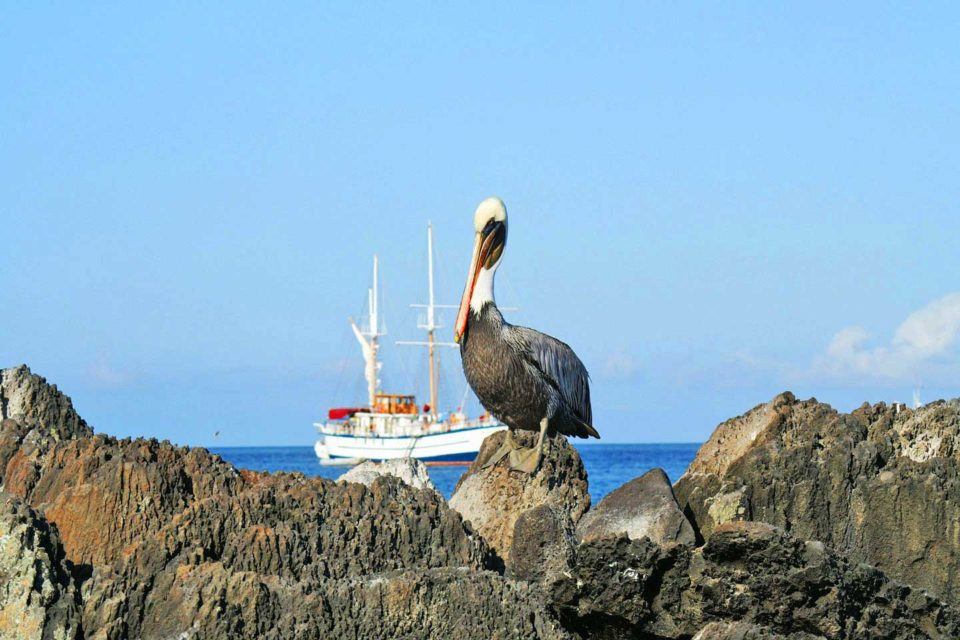 galapagos-liveaboard-boats