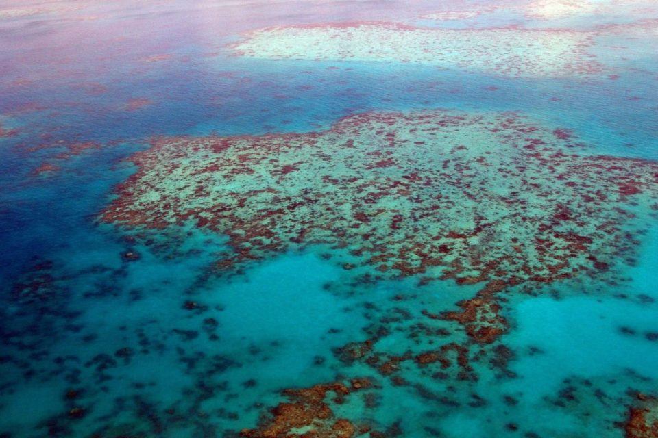 diving-australia-liveaboard