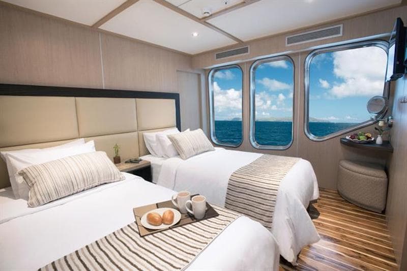 origin and theory cabin