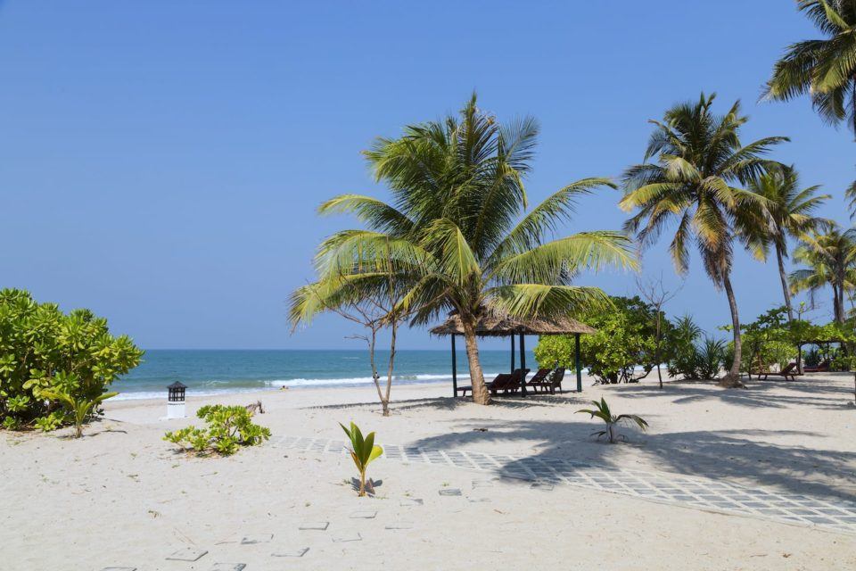 white sand beach with palm trees and ocean
