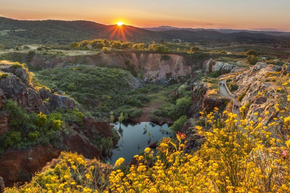 gorgeous view of natural park at sunset